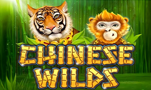 link i9bet Chinese Wilds